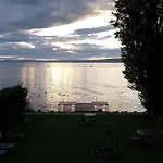 Vizparti *
