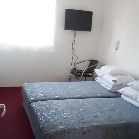 Vizparti