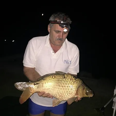 Апартаменты Vizparti