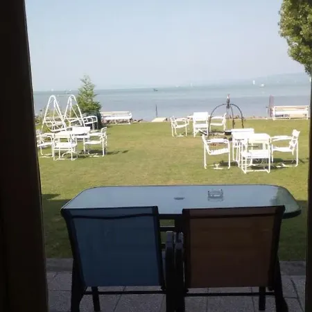 Vizparti *